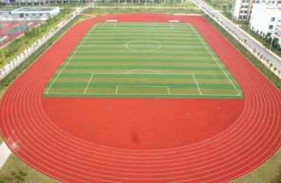 杭州職達(dá)外國(guó)語(yǔ)學(xué)院足球場(chǎng)