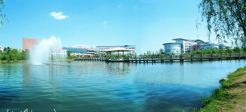 20200910102539343350.jpg 2.jpg