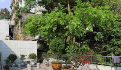 重慶醫藥經貿衛生學校校園一角