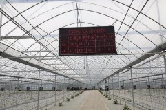 重慶廣播電視中等專業學校校園一角