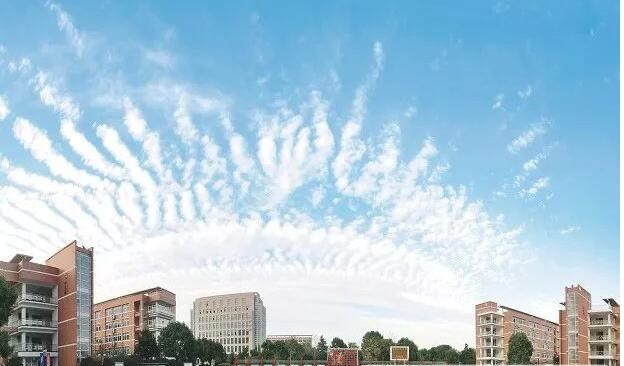 20200915143423612170.jpg 7.jpg