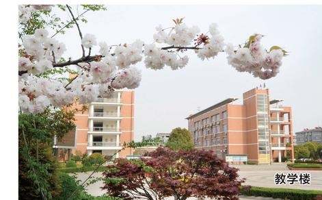 20200915150055856332.jpg 3.jpg