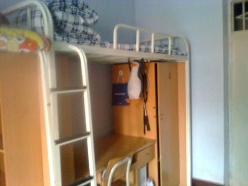 20200916154344967440.jpg 88.jpg