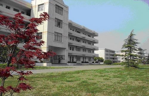 20200917102533585189.jpg 4.jpg