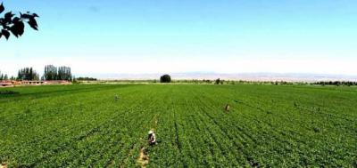 農村經濟管理（投資與理財）專業