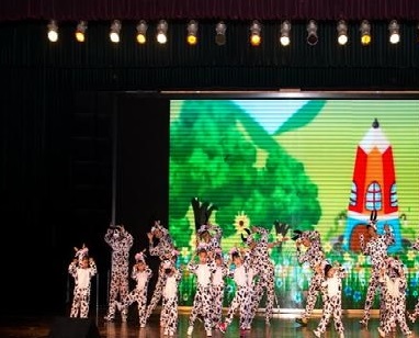 舞蹈表演專業(yè)