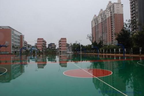 20200918172258837828.jpg dsarewa.jpg