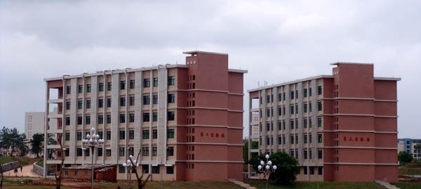 20200923134859838818.jpg 8.jpg