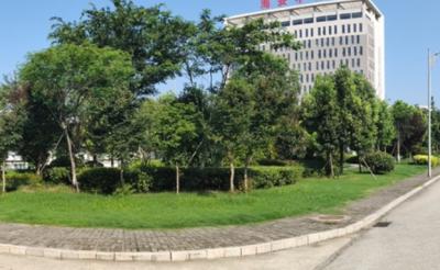 江蘇海安農(nóng)業(yè)工程學(xué)校校園環(huán)境