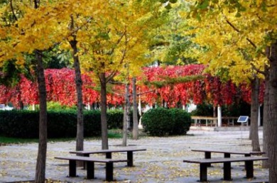 江蘇海安農(nóng)業(yè)工程學(xué)校校園環(huán)境