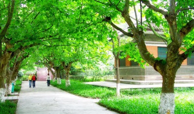 江蘇揚(yáng)中中等專業(yè)學(xué)校校園環(huán)境