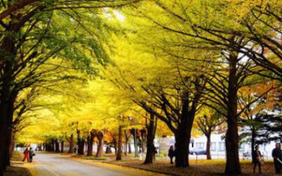 江蘇揚(yáng)中中等專業(yè)學(xué)校校園環(huán)境