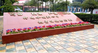 成都棠湖科學技術學校校園