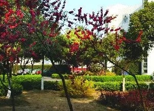 鹽城鹽南中等專業學校校園環境