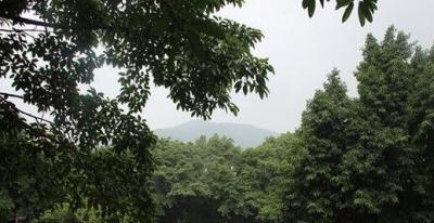 潼南縣遠(yuǎn)榮中等職業(yè)學(xué)校校園一角