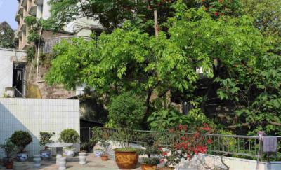 重慶立事信息工程學校校園一角