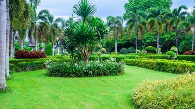 園林綠化專業(yè)