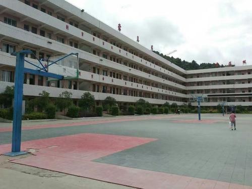 20200927173421454243.jpg 294.jpg