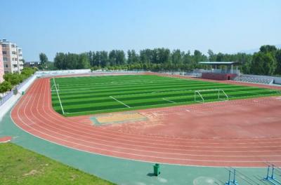 黔西縣水西中學(xué)足球場(chǎng)