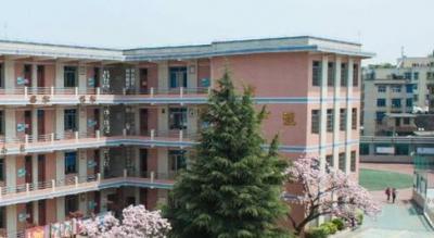 安順市第三高級中學(xué)2020年排名