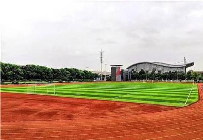 安順三中足球場