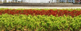 江蘇宿豫中等專業學校環境