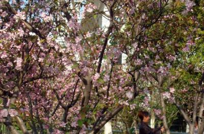 果蔬花卉與生產(chǎn)專業(yè)