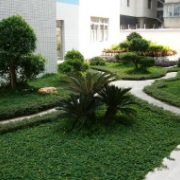 重慶市園林技工學(xué)校校園一角