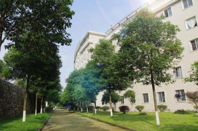 貴陽傳習中學2020年排名