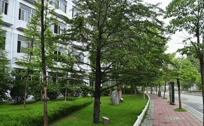 貴州省印江中學校園