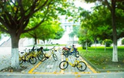 四川省公路職業技術學校2020年招生錄取分數線