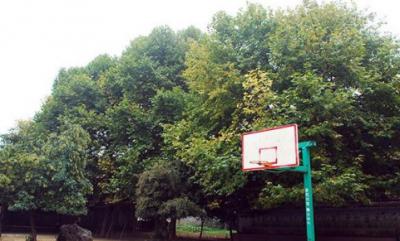 織金縣第三中學(xué)怎么樣、好不好