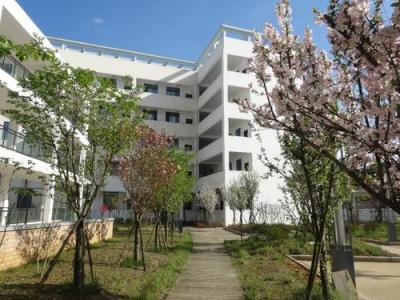 貴州省織金縣第一中學校園