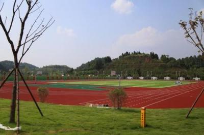 遵義市第十四中學足球場