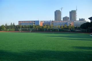 20201029145355134693.jpg 4.jpg