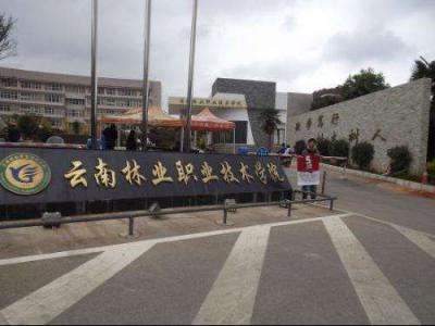 云南林業職業技術學院2021年招生簡章