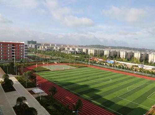 20201104103517600035.jpg 7114.jpg