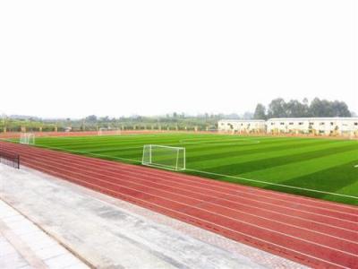 云南交通職業(yè)技術(shù)學(xué)院足球場