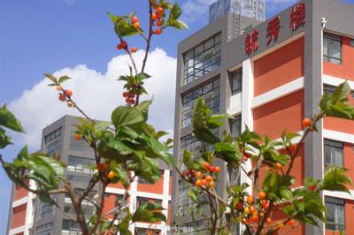 學(xué)校寢室樓