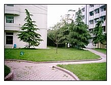 崇州職業中專學校2020年招生錄取分數線