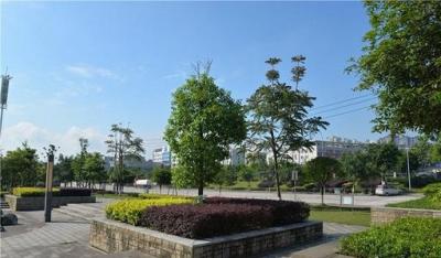 崇州職業中專學校有哪些專業