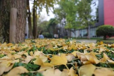 四川工商職業技術學院怎么樣、好不好