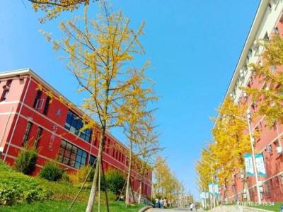 四川托普信息技術職業學院怎么樣、好不好