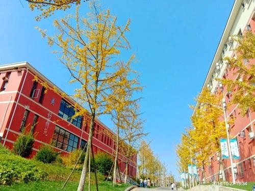 20201120172706810417.jpg 11.jpg