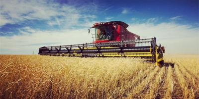 農業經濟管理專業