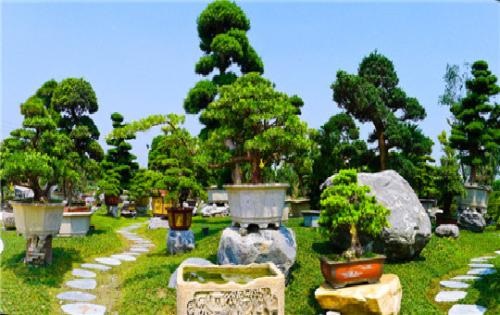 20201124160036587469.jpg 8.jpg