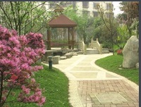 成都第十四中學2020報名條件、報名要求