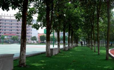 重慶工貿職業技術學院五年制大專2020年學費、收費多少