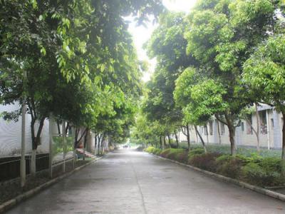 重慶三峽職業(yè)學(xué)院五年制大專2020年排名