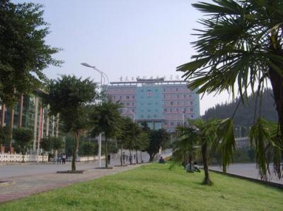 重慶水利電力職業技術學院五年制大專2020年排名